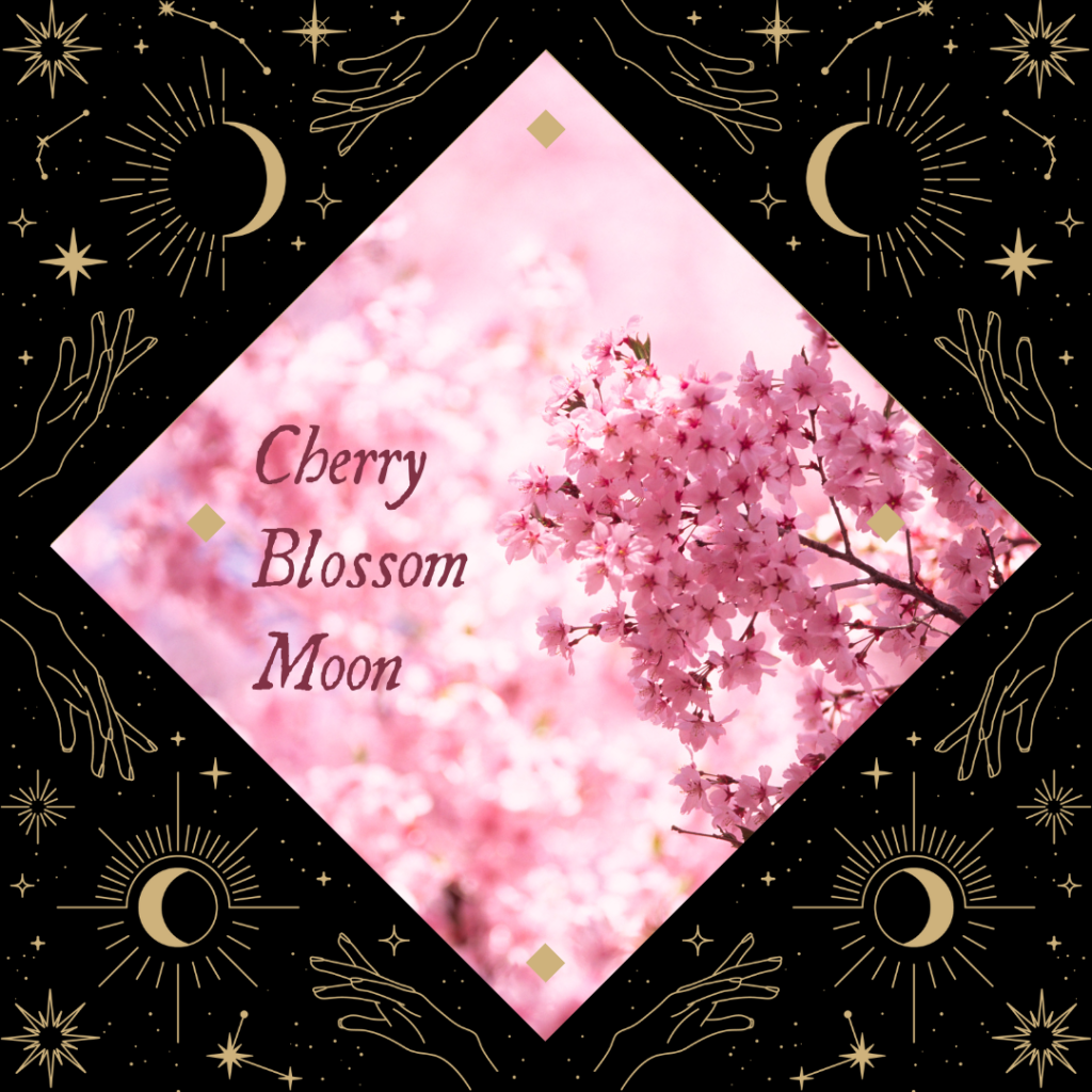 image of cherry blossoms and the words Cherry Blossom Moon. Background is graphics of the moon, sun, and stars.